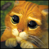 Trocki's Avatar