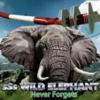 Wild Elephant's Avatar