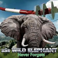 Wild Elephant's Avatar