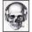 BoneColl3ctor858's Avatar